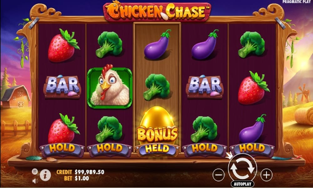 Tips dan Trik Main Slot Chicken Chase Pragmatic Play Terbaru